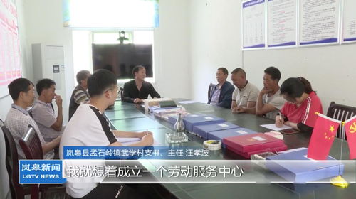 支部统筹劳务用工，村民家门口就业增收——孟石岭镇武学村的振兴新实践