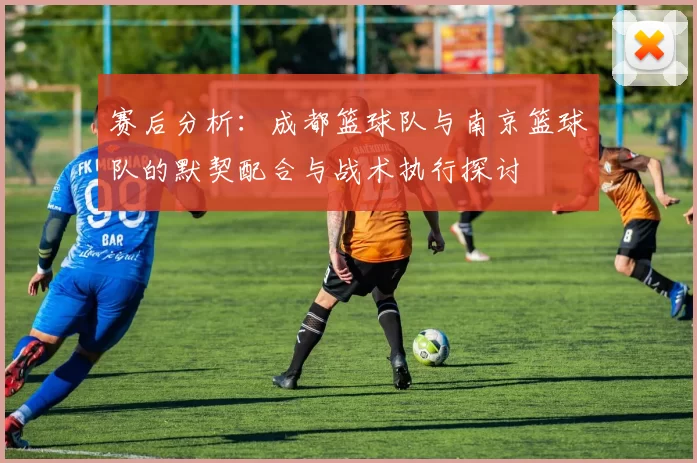 赛后分析：成都篮球队与南京篮球队的默契配合与战术执行探讨