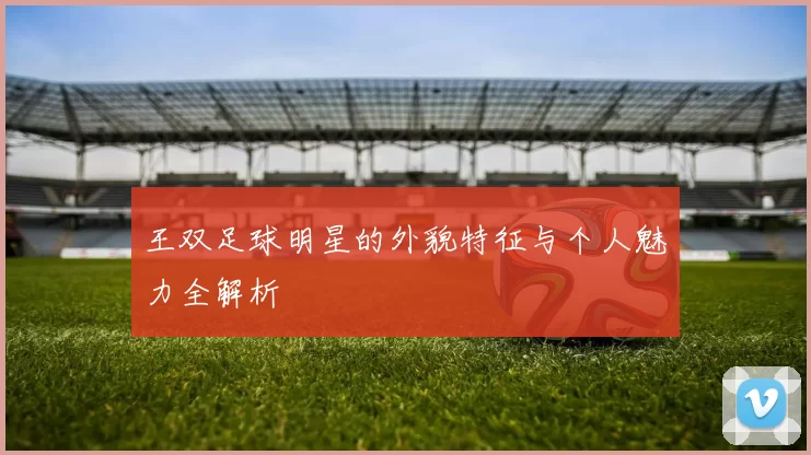 王双足球明星的外貌特征与个人魅力全解析